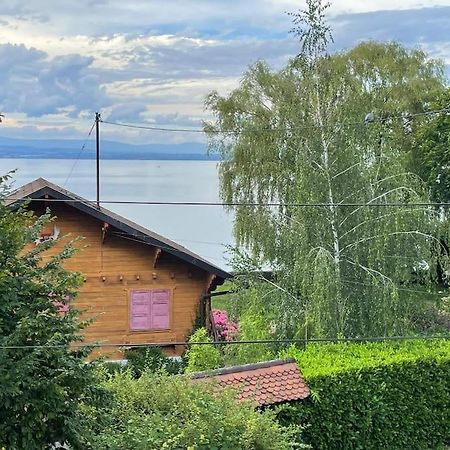 La Veranda De La Mouette Thonon-les-Bains Esterno foto