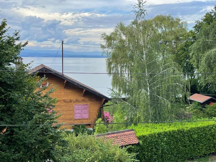 La Veranda De La Mouette Thonon-les-Bains Esterno foto